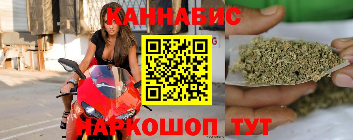 Бошки марихуана гибрид Тара